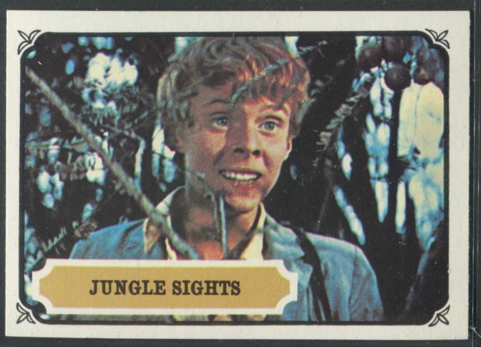 9 Jungle Sights